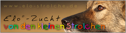 www.elo-strolche.de